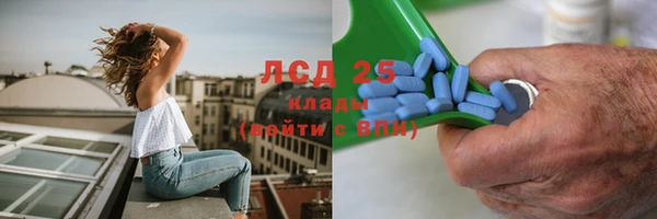 индика Нефтекумск
