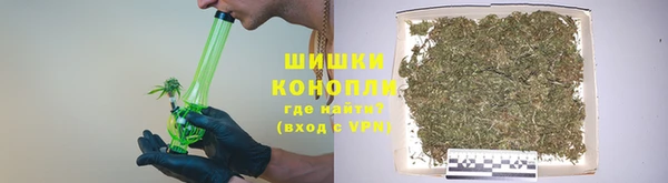 индика Нефтекумск