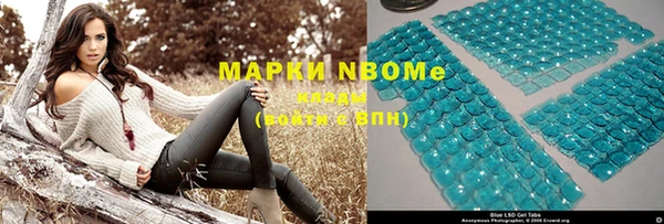 индика Нефтекумск