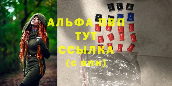 индика Нефтекумск