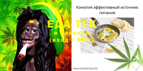 индика Нефтекумск