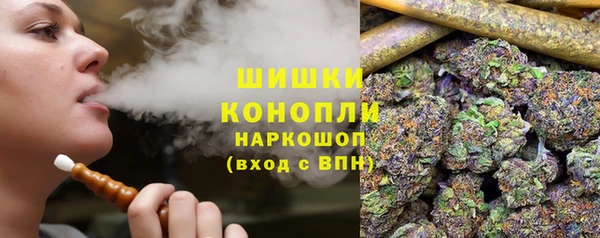 прущие грибы Надым