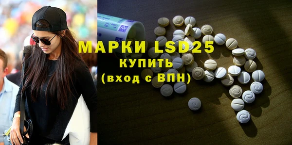 индика Нефтекумск