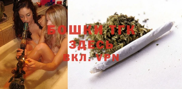 индика Нефтекумск
