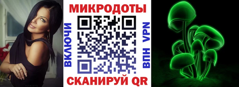 Псилоцибиновые грибы Psilocybine cubensis  Чкаловск 