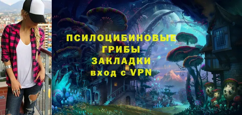 МЕГА как зайти  Чкаловск  Галлюциногенные грибы Magic Shrooms 